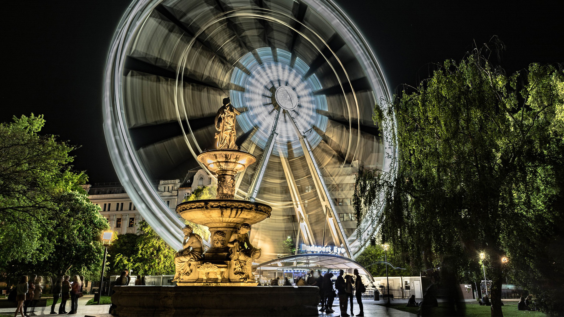 ferris wheel at night photo